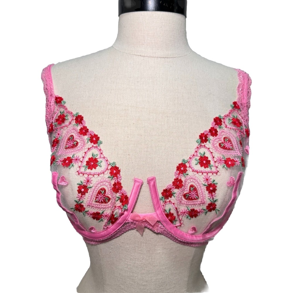 VS For Love & Lemons 36D Whimsical Garden Hearts Embroidered‎ Underwire Bra NWT